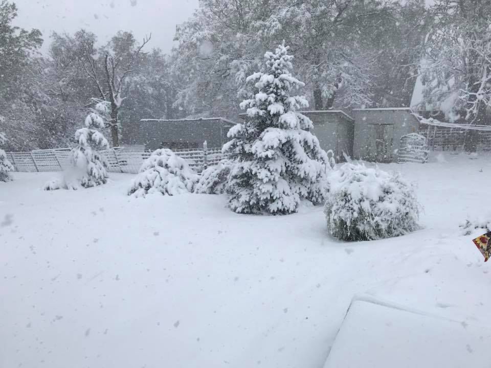 Snow, 10/14
